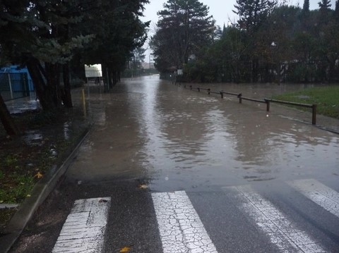 avenue jacques de regis