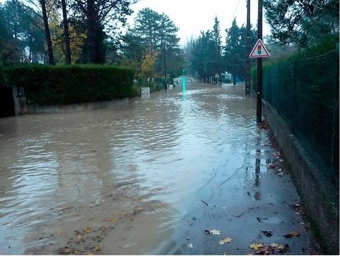 avenue jacques de regis