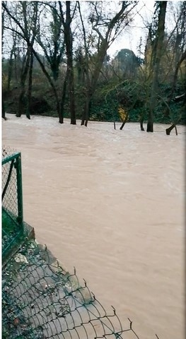 La Touloubre niveau avenue Verte Ca